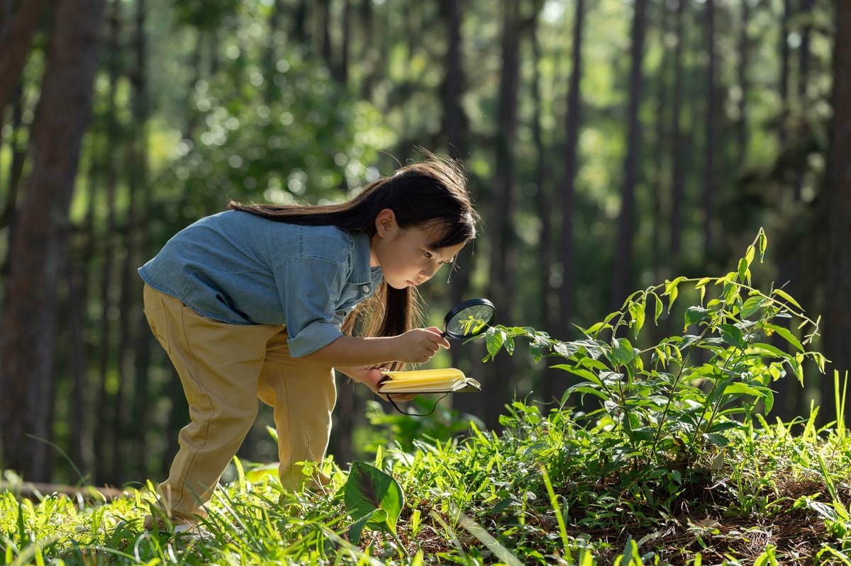 Niña curiosa explorando la naturaleza con lupa en el bosque