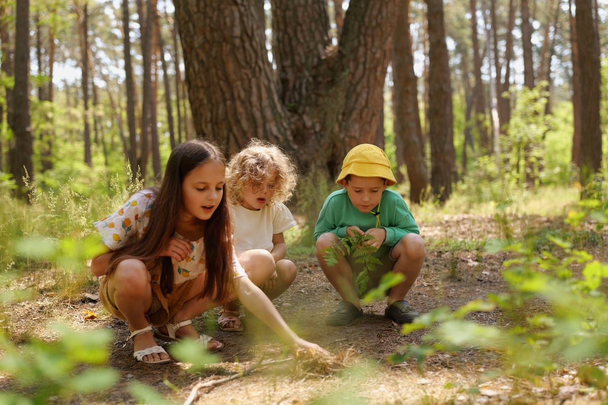 Tres niños explorando la naturaleza y plantas en el bosque