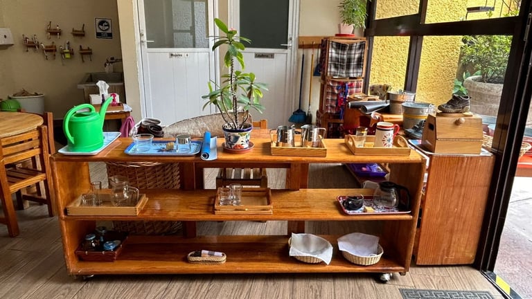 Wooden shelving unit in a sunlit room with plants, decorative items, and various household objects displayed across multiple shelves.